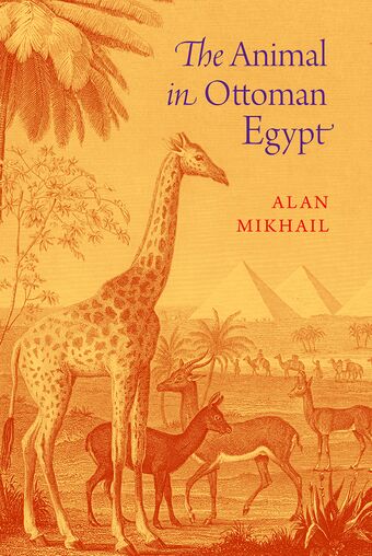 The Animal in Ottoman Egypt book cover
