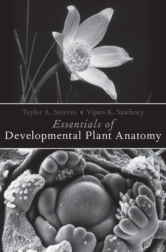 Essentials of Developmental Plant Anatomy book cover