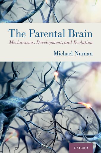 The Parental Brain Mechanisms Development and Evolution book cover
