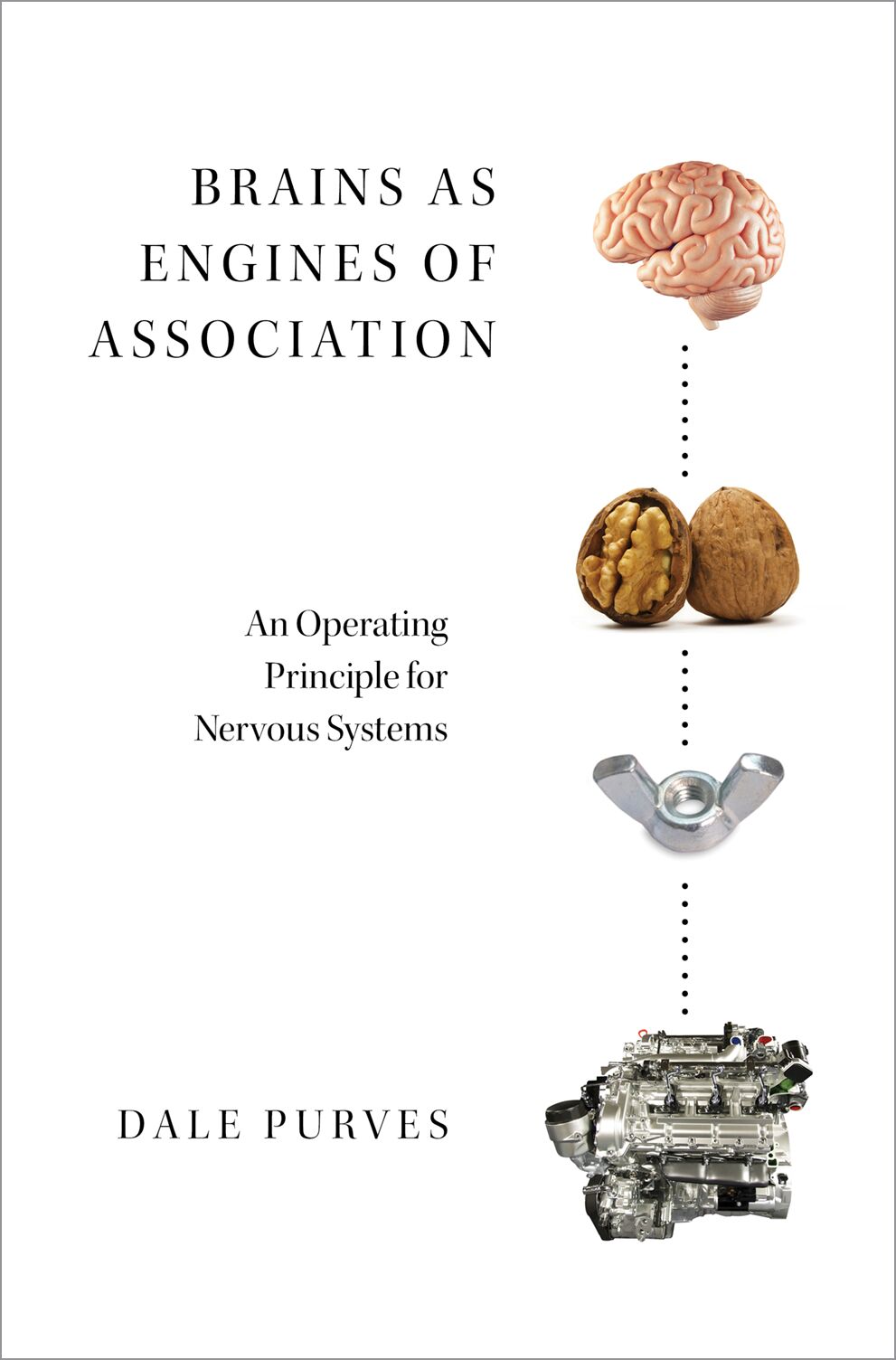 Brains as Engines of Association book cover
