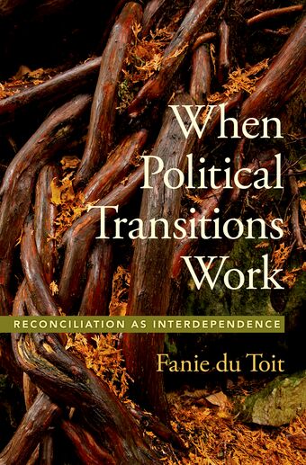 When Political Transitions Work book cover