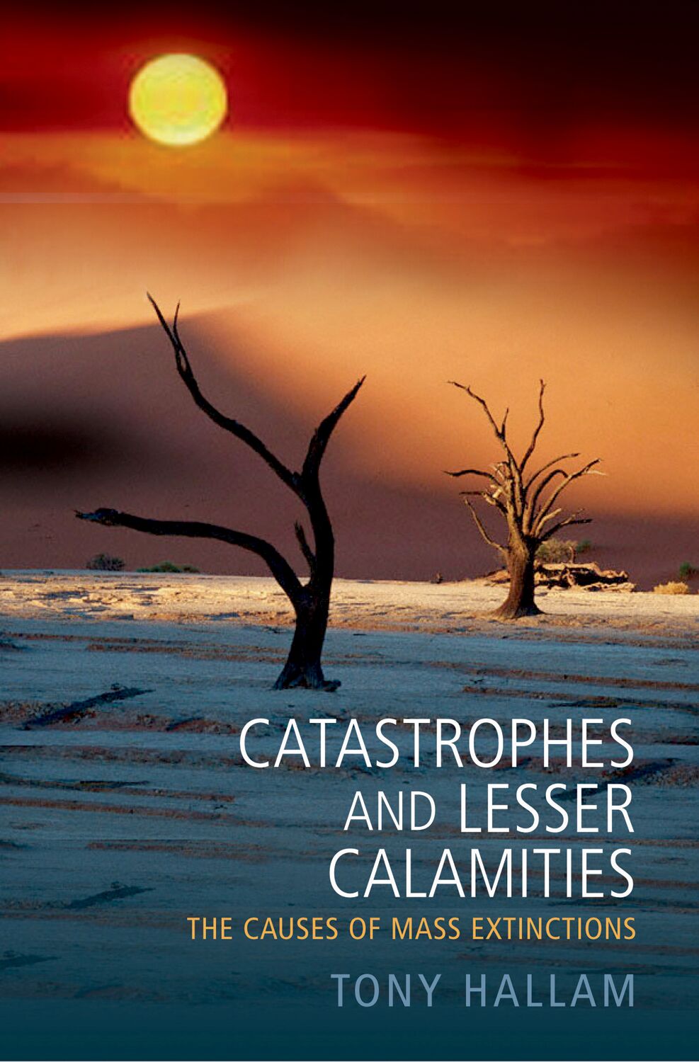 Catastrophes and Lesser Calamities book cover