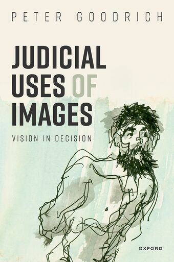 Judicial Uses of Images Vision in Decision book cover
