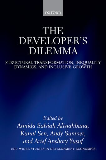 The Developer's Dilemma book cover