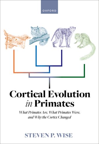 Cortical Evolution in Primates What Primates Are, What Primates Were, and Why book cover