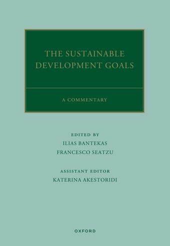 The UN Sustainable Development Goals A Commentary book cover