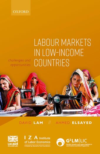 Labour Markets in Low-Income Countries Challenges and Opportunities book cover