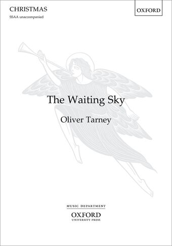 The Waiting Sky book cover