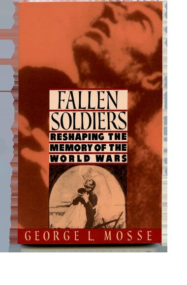 Fallen Soldiers book cover