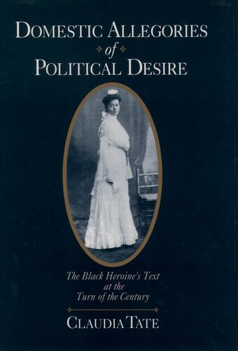Domestic Allegories of Political Desire book cover