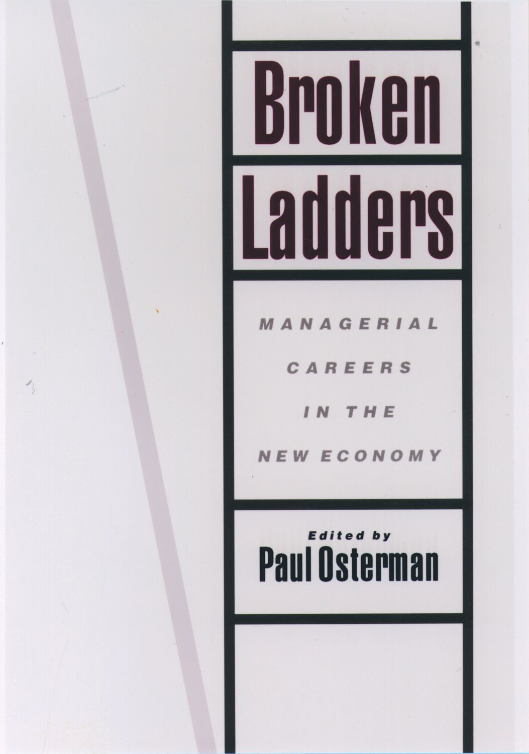 Broken Ladders book cover