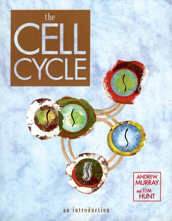 The Cell Cycle book cover