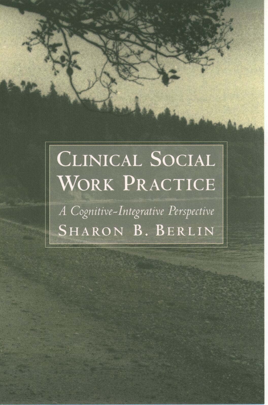 Clinical Social Work Practice book cover
