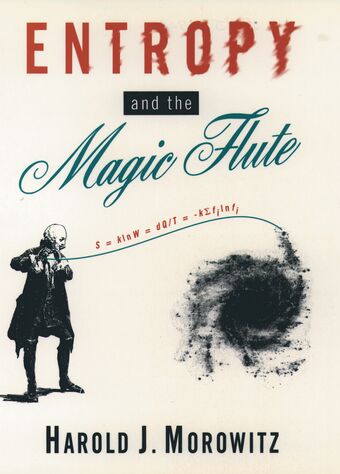 Entropy and the Magic Flute book cover