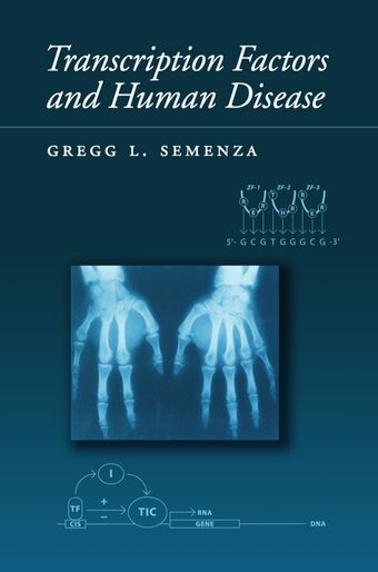 Transcription Factors and Human Disease book cover