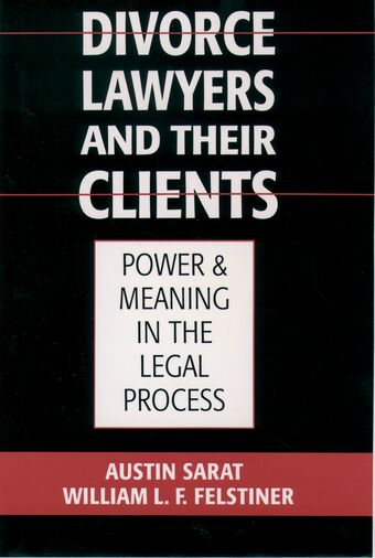 Divorce Lawyers and Their Clients book cover