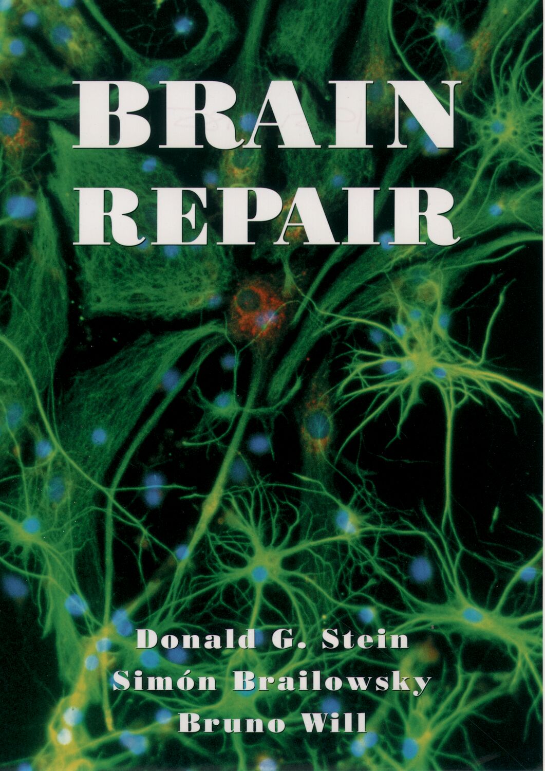 Brain Repair book cover