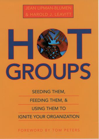 Hot Groups book cover