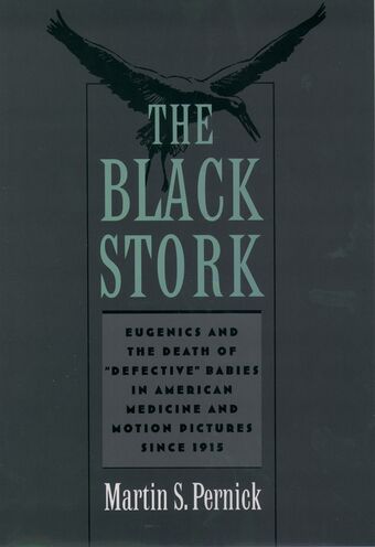 The Black Stork book cover