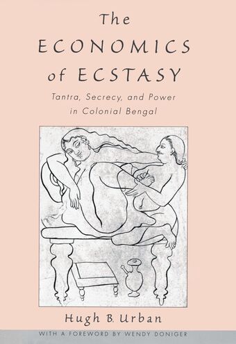 The Economics of Ecstasy book cover