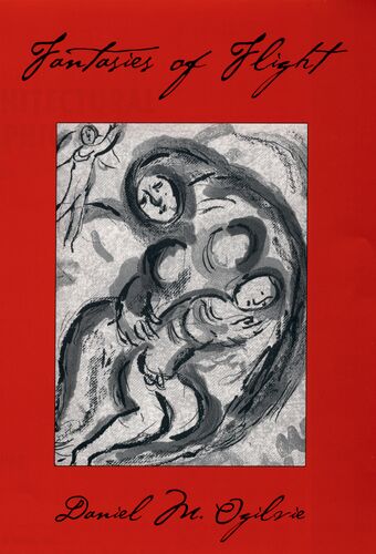 Fantasies of Flight book cover