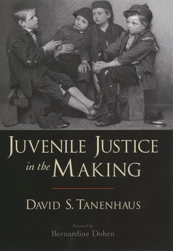 Juvenile Justice in the Making book cover