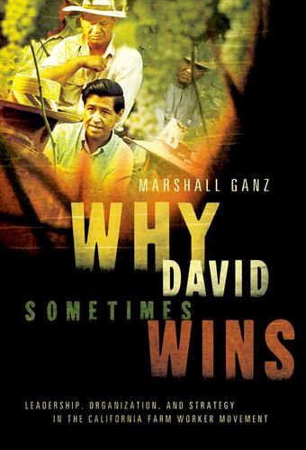 Why David Sometimes Wins book cover