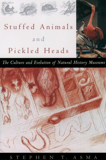 Stuffed Animals and Pickled Heads book cover