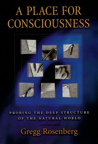 A Place for Consciousness book cover