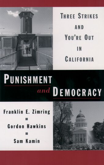Punishment and Democracy book cover