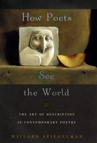 How Poets See the World book cover