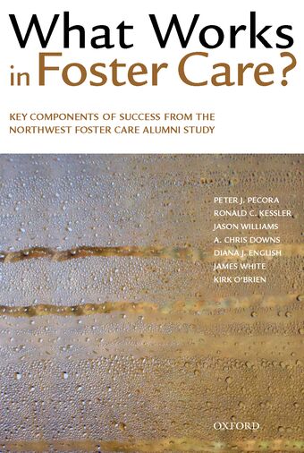 What Works in Foster Care? book cover