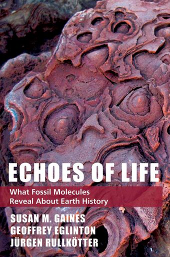 Echoes of Life book cover