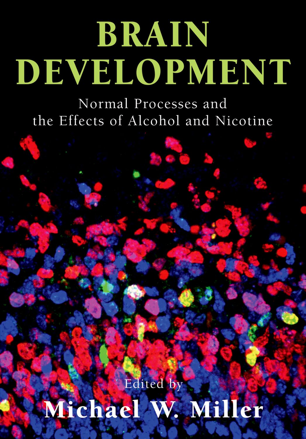 Brain Development book cover