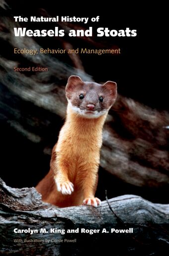 The Natural History of Weasels and Stoats book cover