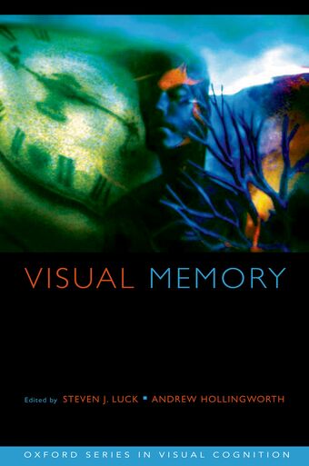 Visual Memory book cover
