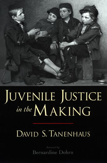 Juvenile Justice in the Making book cover