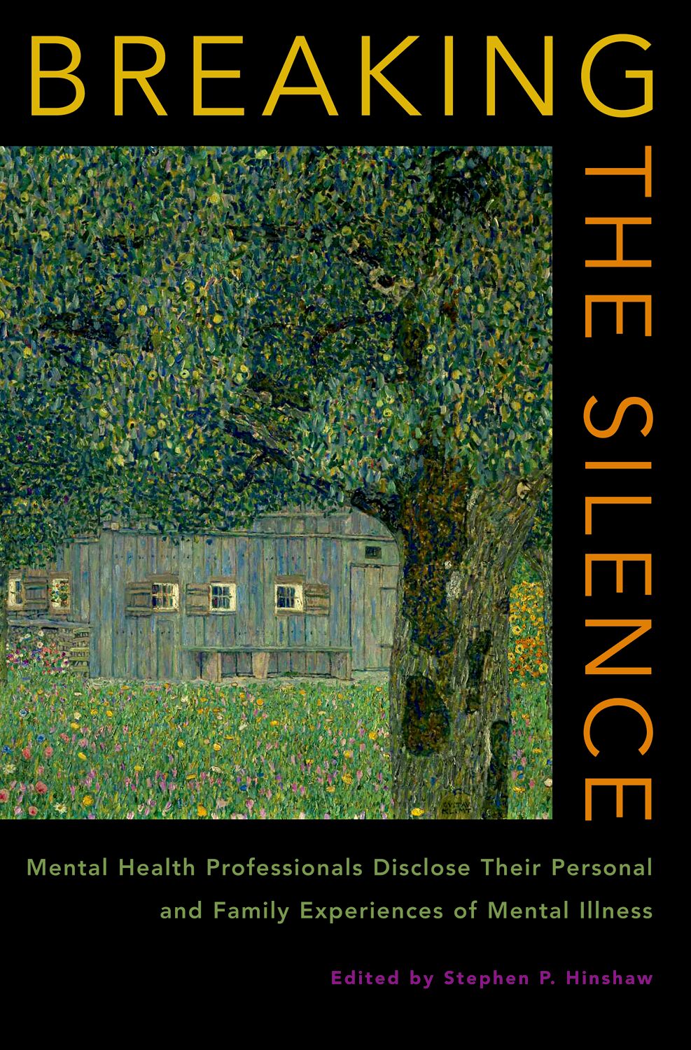 Breaking the Silence book cover