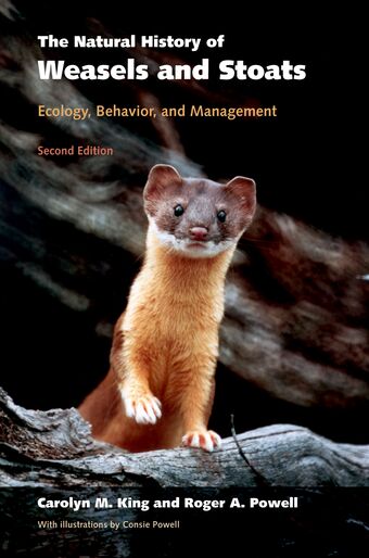 The Natural History of Weasels and Stoats book cover