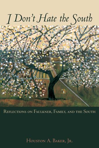 I Don't Hate the South book cover