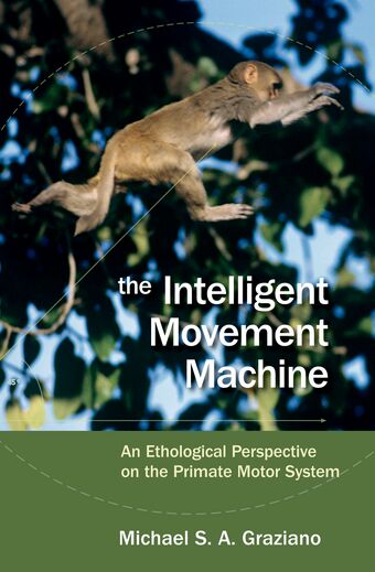 The Intelligent Movement Machine book cover