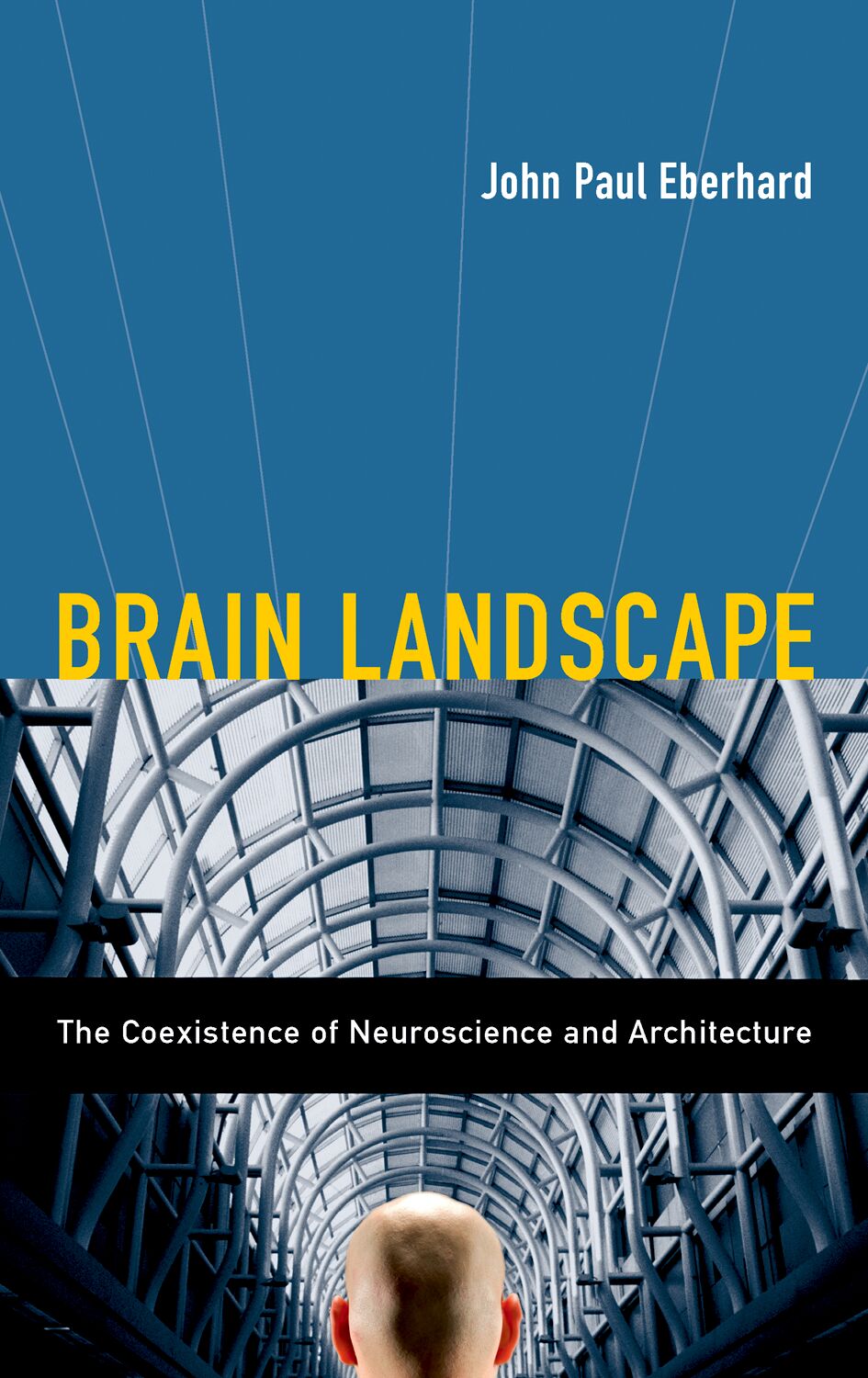 Brain Landscape book cover