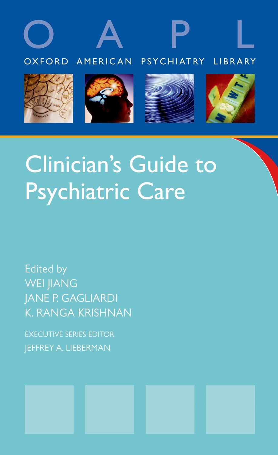 Clinician's Guide to Psychiatric Care book cover