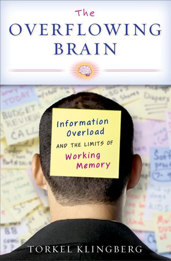 The Overflowing Brain book cover
