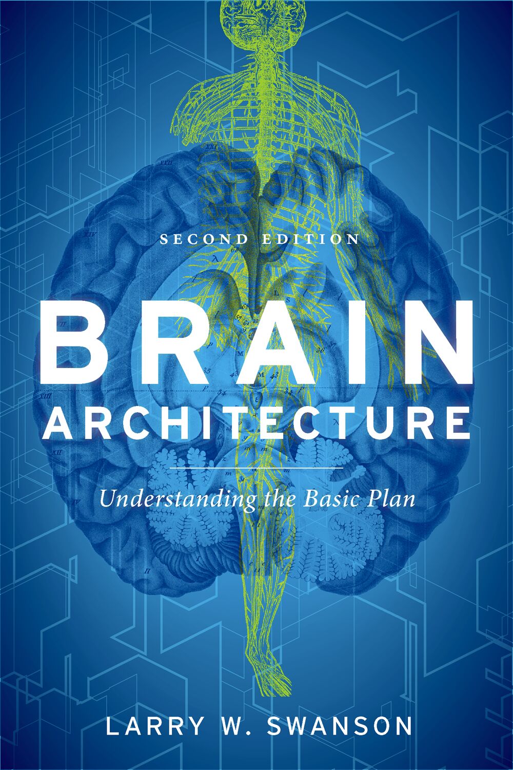 Brain Architecture book cover