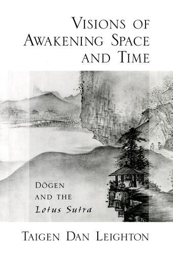 Visions of Awakening Space and Time book cover