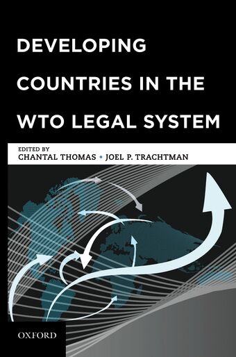 Developing Countries in the WTO Legal System book cover