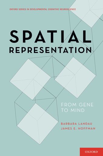 Spatial Representation book cover