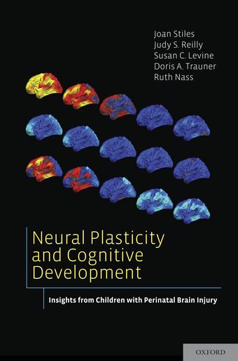 Neural Plasticity and Cognitive Development book cover