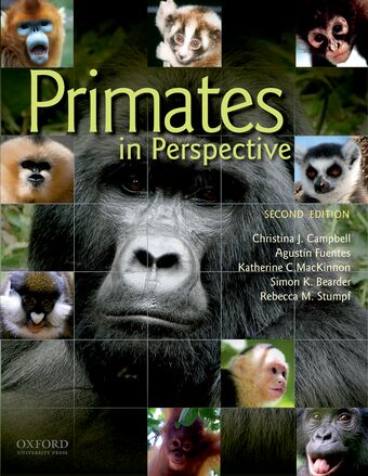 Primates In Perspective book cover